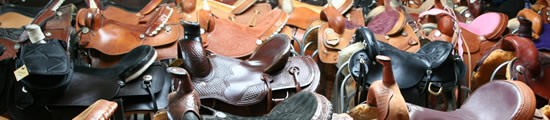Equine Businesses in Jamesport, MO